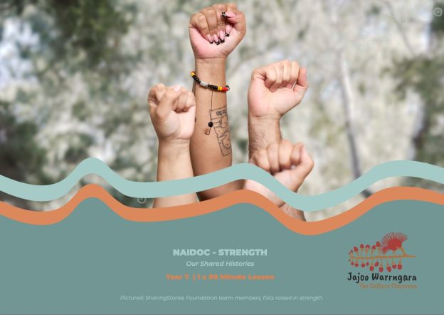 NAIDOC - STRENGTH Our Shared Histories image