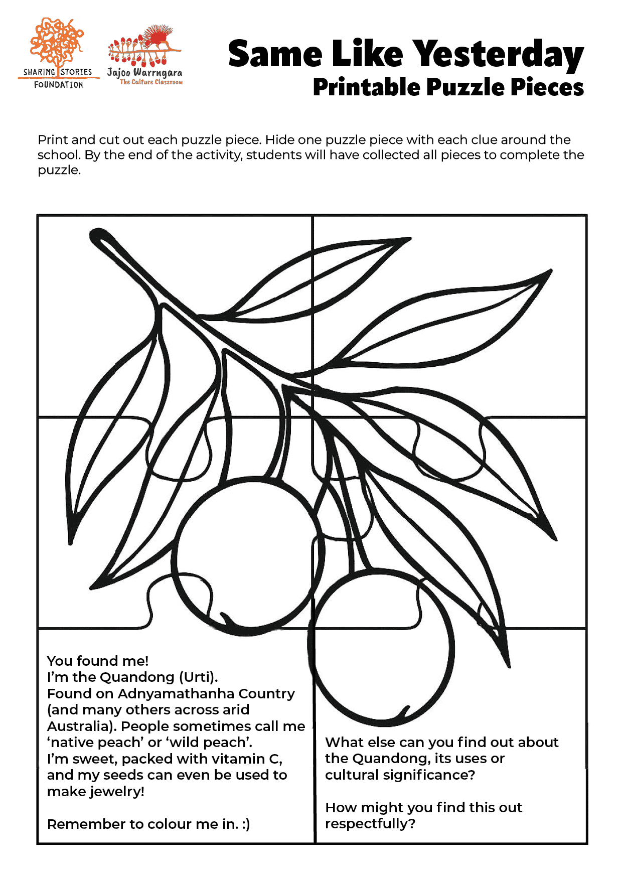 Puzzle Pieces worksheet - Jajoo Warrngara