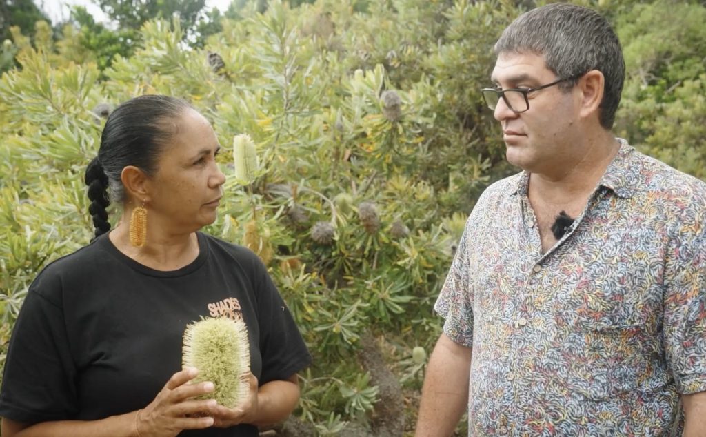 Bundjalung mullet season thumbnail