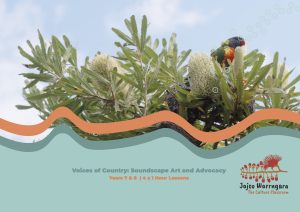 Voices of Country thumbnail