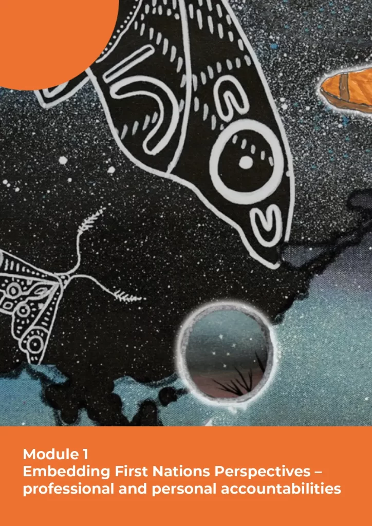 Embedding First Nations Perspectives – professional and personal accountabilities 